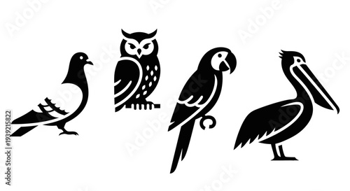Diverse Bird Silhouettes Collection: Pigeon, Owl, Parrot, and Pelican Icons