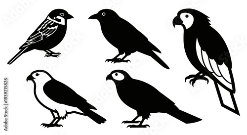 Diverse Bird Silhouettes Collection Vector Icons Set