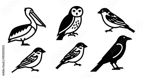 Diverse Bird Silhouettes Set: Graphic Pelican, Owl, Sparrow, and Crow Icons