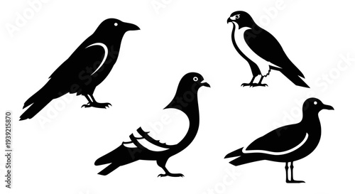 Diverse Bird Silhouettes Vector Collection: Crow, Pigeon, Hawk, Seagull Icons