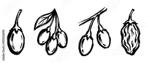 Goji berry hand-drawn ink illustration set showing fresh and dried wolfberries on a branch with leaves, depicted in a minimalist black and white brush stroke sketch style