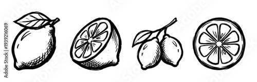 Set of four hand-drawn lemon illustrations in a rough black ink sketch style, showing a whole fruit with a leaf, a half, a branch, and a round cross-section slice