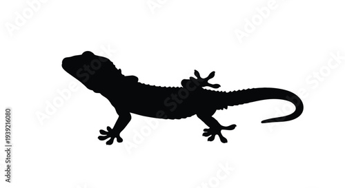 A black silhouette of a lizard in a relaxed side view posture