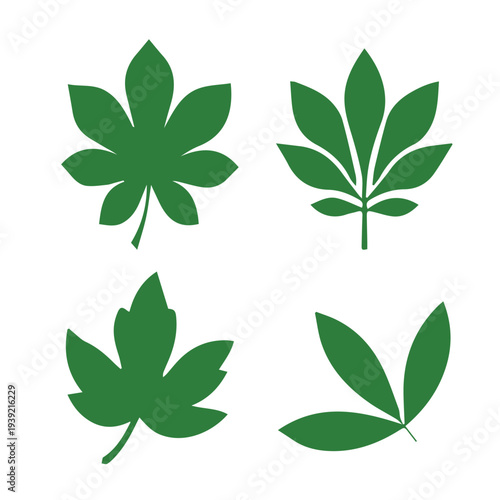 Set of green leaf icons. Leaves of trees and plants. Leaves icon. Collection green leaf. Elements design for natural, eco, bio, vegan labels. Vector