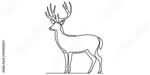 Majestic Deer with Antlers Standing Still