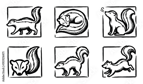 Set of six black skunk illustrations in a hand-drawn brush stroke style, showing the woodland animal in various poses like walking, sleeping, and jumping inside square frames