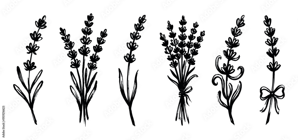 Obraz premium Set of six black ink lavender flower illustrations in a hand-drawn brush stroke style, showing single stems, rustic bouquets, and sprigs with bows for a minimalist design