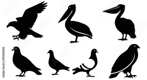 Diverse Bird Species Silhouettes: Eagle, Pelican, Pigeon, and Hawk Vector Set