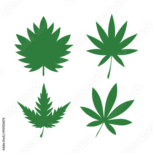 Set of green leaf icons. Leaves of trees and plants. Leaves icon. Collection green leaf. Elements design for natural, eco, bio, vegan labels. Vector