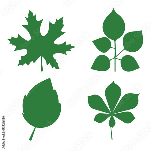 Set of green leaf icons. Leaves of trees and plants. Leaves icon. Collection green leaf. Elements design for natural, eco, bio, vegan labels. Vector