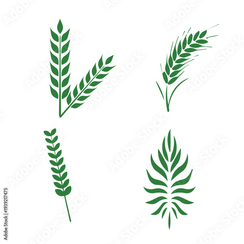 Set of green leaf icons. Leaves of trees and plants. Leaves icon. Collection green leaf. Elements design for natural, eco, bio, vegan labels. Vector