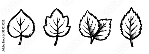 Set of four hand-drawn leaves in a black ink sketch style, showcasing different botanical shapes and textures with bold, expressive brush strokes for a natural, artistic design