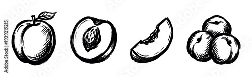 Hand-drawn ink brush illustration set of apricots, showing a whole fruit with a leaf, a half with a pit, a single slice, and a group of three in a sketchy, monochrome style