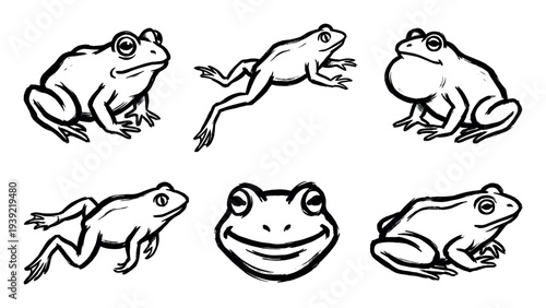 Set of six hand-drawn frog illustrations in a black ink brush stroke style showing various poses like jumping, sitting, and croaking with a cute smiling face