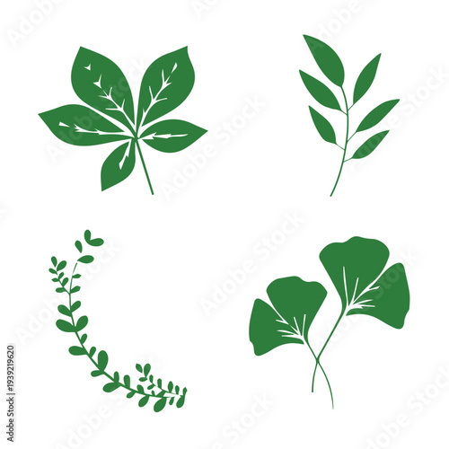 Set of green leaf icons. Leaves of trees and plants. Leaves icon. Collection green leaf. Elements design for natural, eco, bio, vegan labels. Vector
