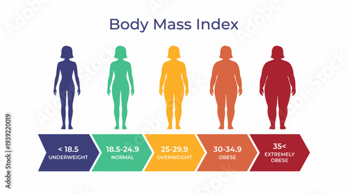 Body mass index infographic showing female silhouettes with weight scale from underweight to extremely obese, concept for medical employee wellness, nutrition education and fitness tracking