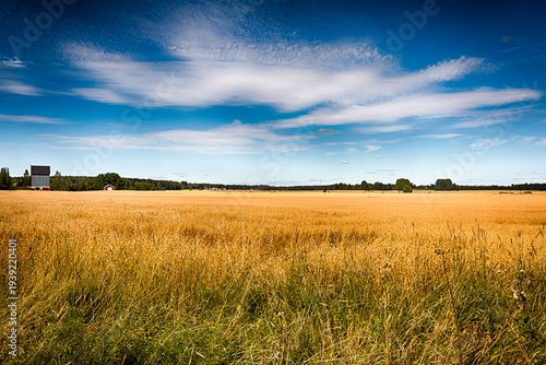 Beautiful summer countryside scenery in Loimaa, Finland. HDR.