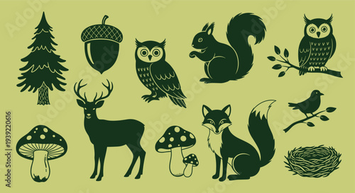 Charming forest creatures and elements including a deer owl fox squirrel bird tree acorn and mushrooms on a muted green background