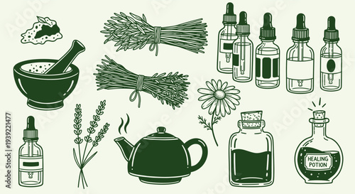 Herbal remedies and natural healing ingredients collection for wellness and alternative medicine