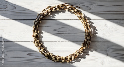 Circular arrangement of pussy willow branches on white wooden background with soft sunlight shadows, spring minimalist concept created with generative AI
