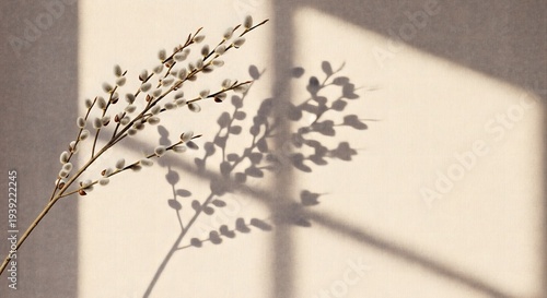 Pussy willow branches with grey catkins on light green background, vertical spring botanical illustration created with generative AI