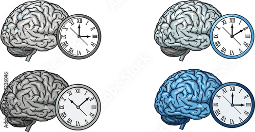 Brain and clock depicting concept of time management memory and cognitive functions