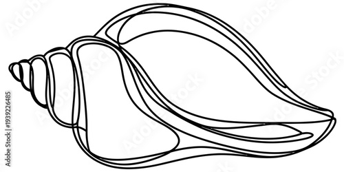 Minimalist single line conch seashell vector ocean marine illustration outline