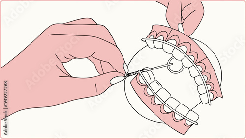 Dental Flossing Technique Demonstrated on a Model Jaw.