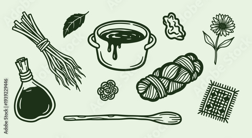Hand drawn illustration of natural dyeing ingredients and tools including herbs yarn and a pot of dye on a light green background