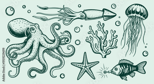 Vintage marine life illustration featuring octopus squid starfish fish jellyfish and coral in a detailed sketch style