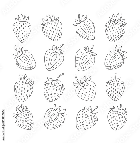 Black and white line collection of whole and halved strawberries strawberry fruit