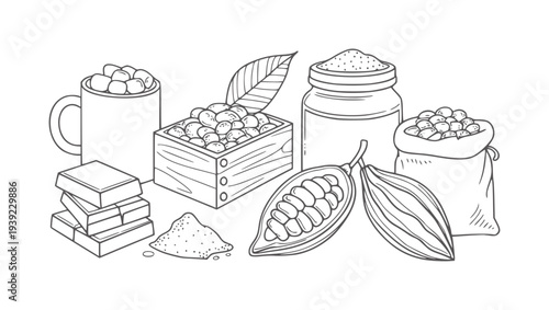 Black and white line of cocoa beans chocolate and powder