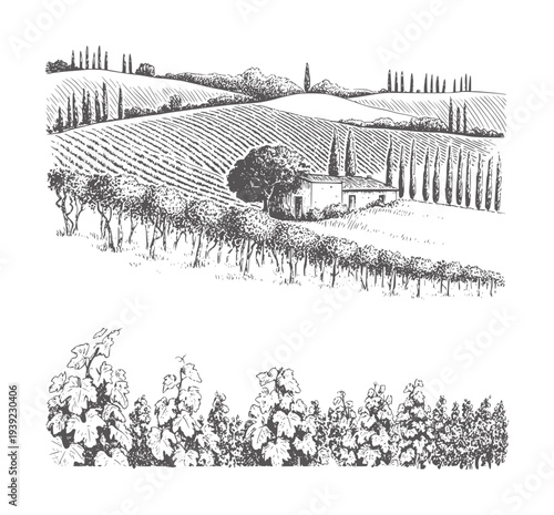 Tuscan vineyard landscape with farmhouse and rolling hills