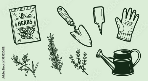 Hand drawn illustration of gardening tools and herbs on a light green background