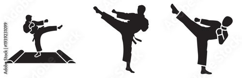 Martial arts silhouette demonstrating dynamic kicking techniques in a sequence.