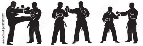 Silhouettes of martial artists practicing combat stances and kicks during training