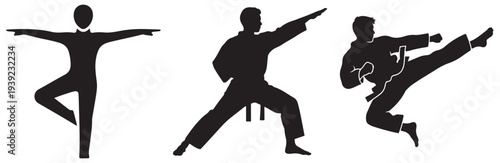 Silhouettes of martial arts practitioners demonstrating various poses and dynamic kicks.
