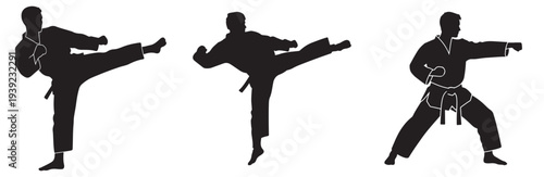 Silhouettes of martial artists demonstrating dynamic kicks and punches in athletic poses.