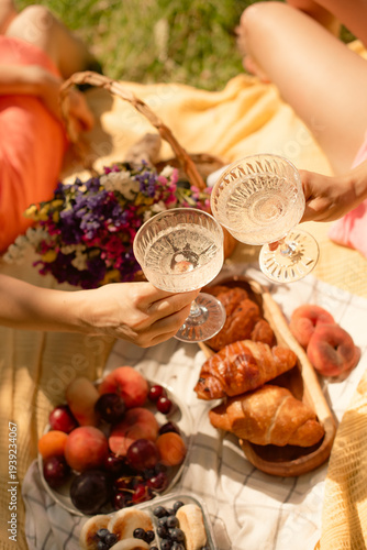 friends spending time together on summer vacation picnic, clinking glasses outdoors