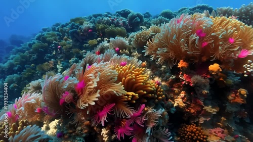 Vibrant coral reef ecosystem undersea biodiversity with colorful anemones and exotic marine life underwater scenery