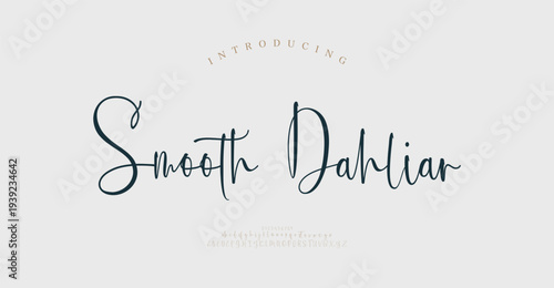 Smooth Dahliar, Script font alphabet uppercase lowercase and number. Classic lettering minimal fashion designs. Typography modern serif fonts regular decorative vintage concept. Vector illustration
