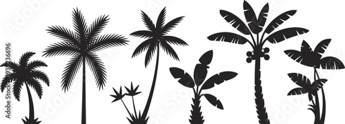 Diverse collection of black tropical palm and banana tree silhouettes isolated on white for exotic summer beach and nature landscape designs.
