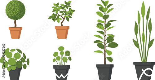 Indoor Potted Plants Collection Houseplant Decorative Green Foliage Vector Illustration Set