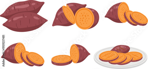 Sweet Potato Whole and Sliced Vegetable Healthy Food Ingredient Vector Illustration Set
