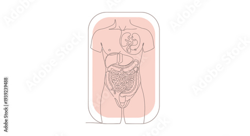 Human body anatomy illustration in a mobile phone screen.