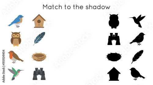 Colorful bird illustrations with matching shadows and nature elements  