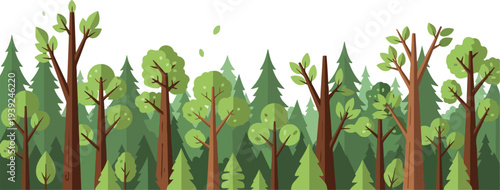 Beautiful illustration of a lush, green forest with diverse trees and foliage, depicting a serene natural environment