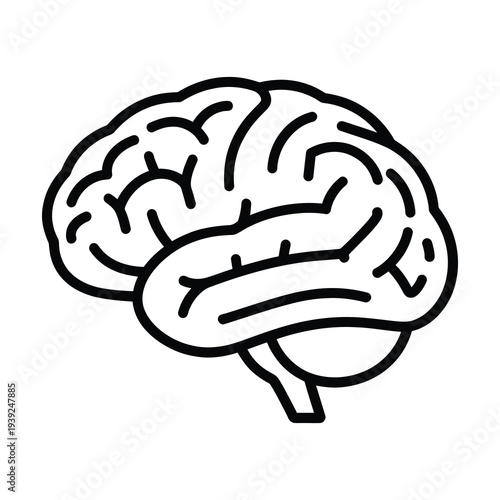 Vector of a human brain with intricate folds and lines