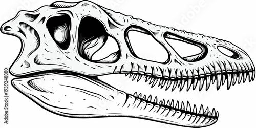 Dinosaur Skull Fossil Skeleton Line Art Vector Illustration