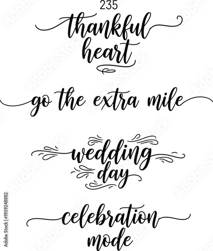 Elegant calligraphy phrases for various occasions and celebrations